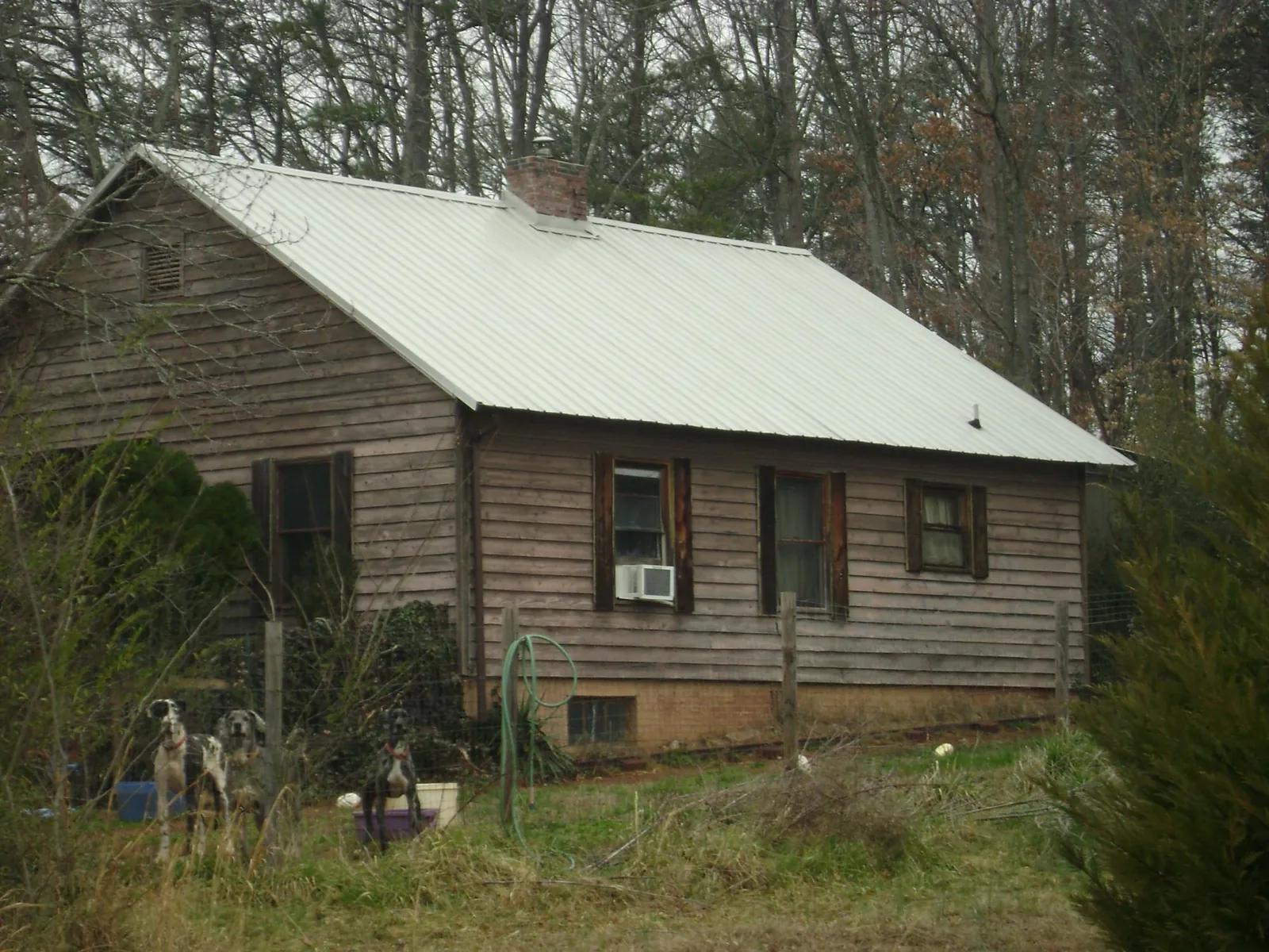 White metal roof on an old wood sided farmhouse, from a Asphalt Shingle Roof Repair job in Batavia